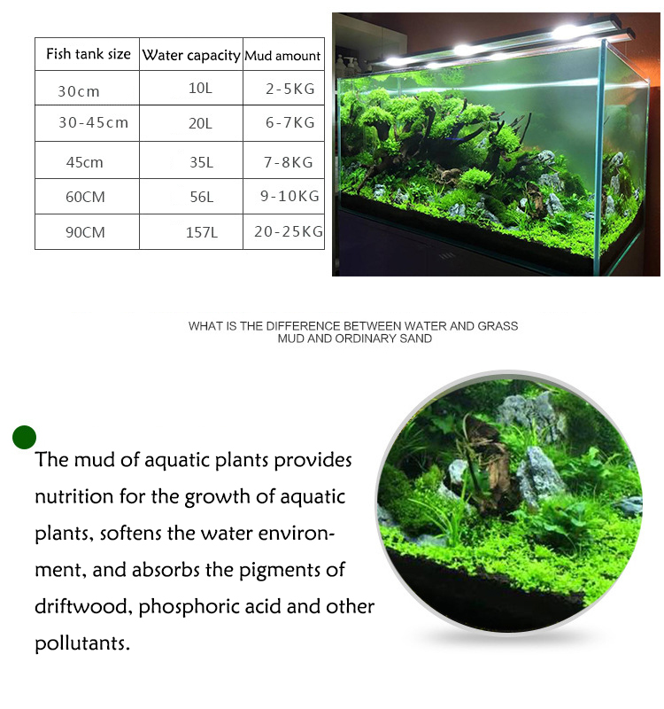 Aquarium Plant Seeds Soil Fish - Planted Aquarium Parameters 评论和价格