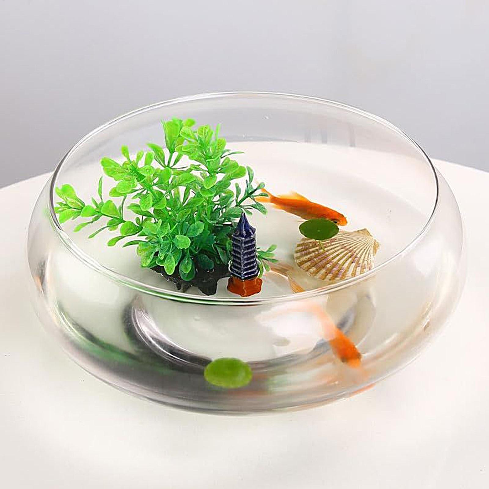 Fish Glass Bowl Glass Large Hy - Planted Aquarium Bowl 评论和价格