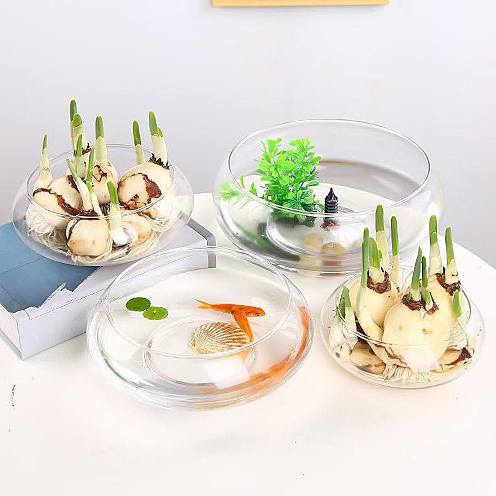 Fish Glass Bowl Glass Large Hy - Planted Aquarium Bowl 评论和价格