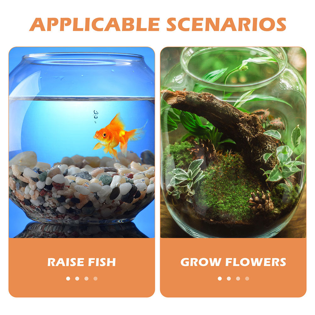 1Set High Transparency Round F - Planted Aquarium Bowl 评论和价格