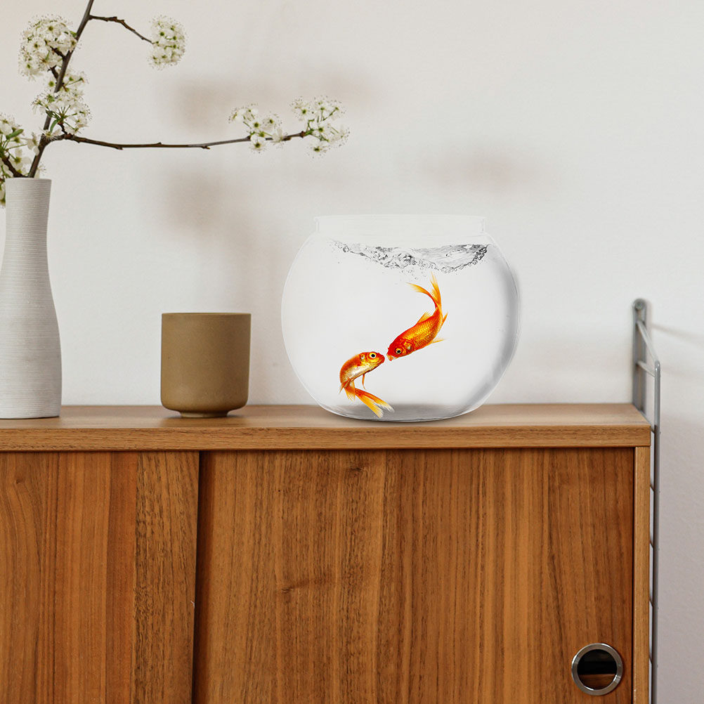 1Set High Transparency Round F - Planted Aquarium Bowl 评论和价格