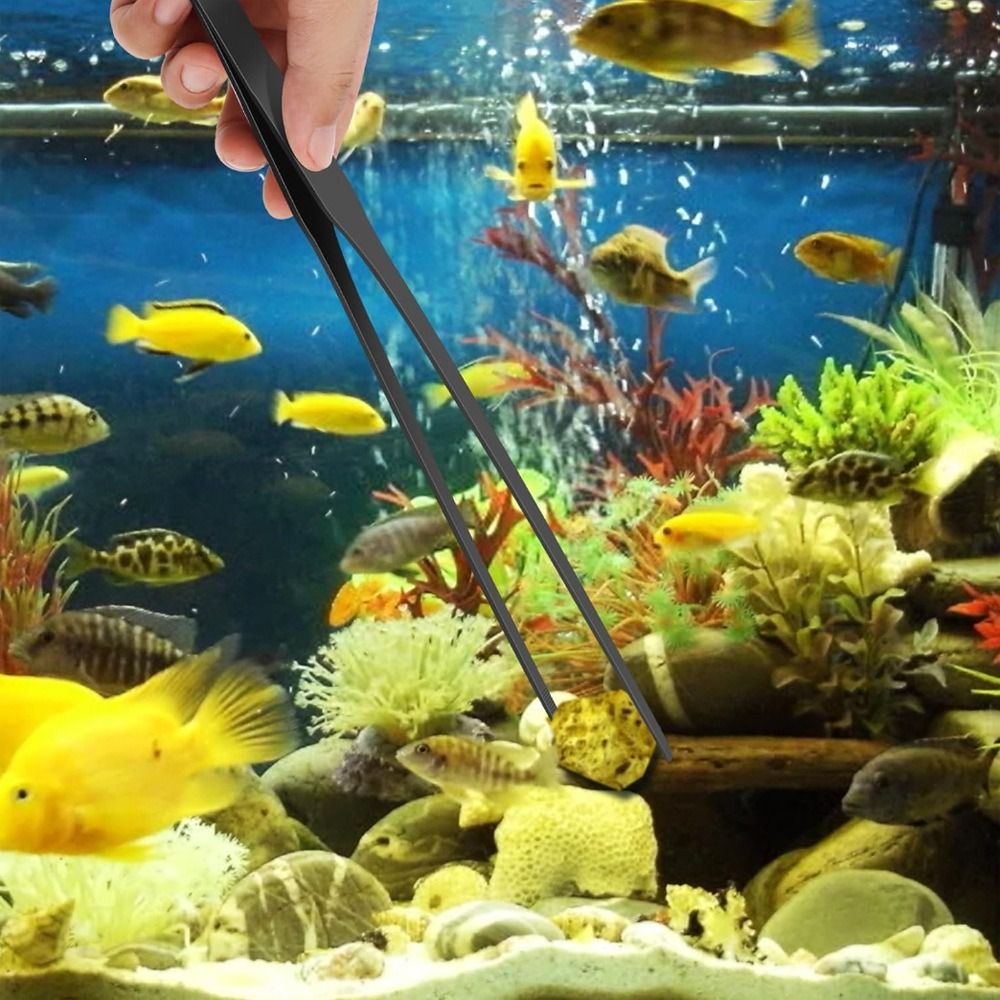 Stainless Steel Long Aquarium  - Non Planted Aquarium Fish 评论和价格