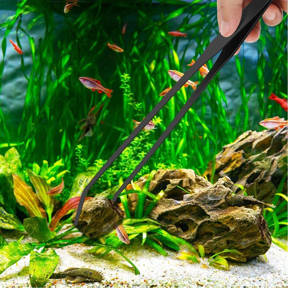 Stainless Steel Long Aquarium  - Non Planted Aquarium Fish 评论和价格