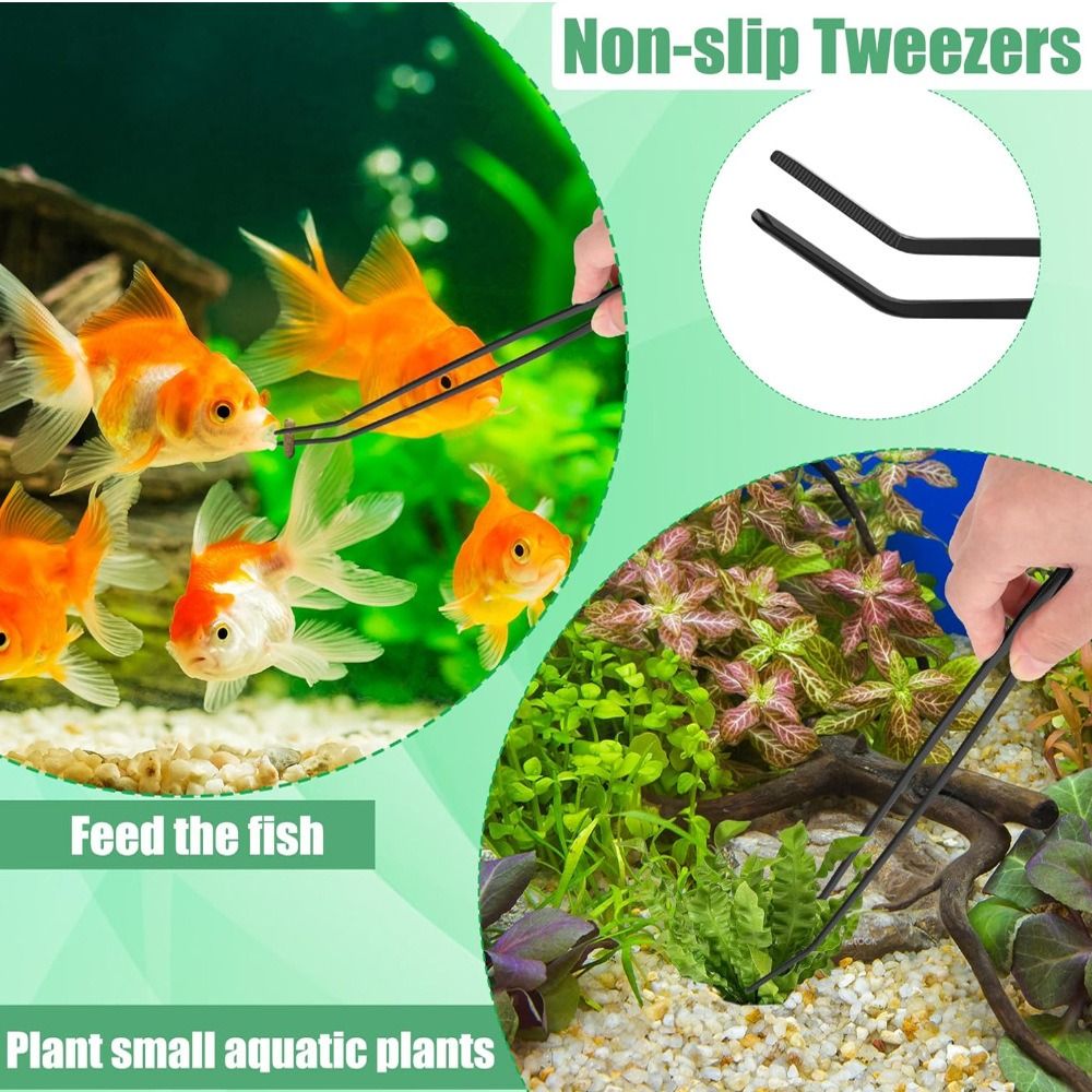 Stainless Steel Long Aquarium  - Non Planted Aquarium Fish 评论和价格