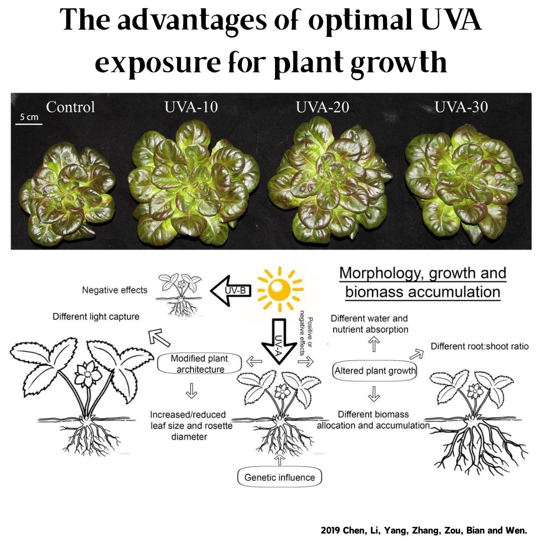 Week Aqua M Series RGB+UV Wate - Aquarium Plant Growing 评论和价格