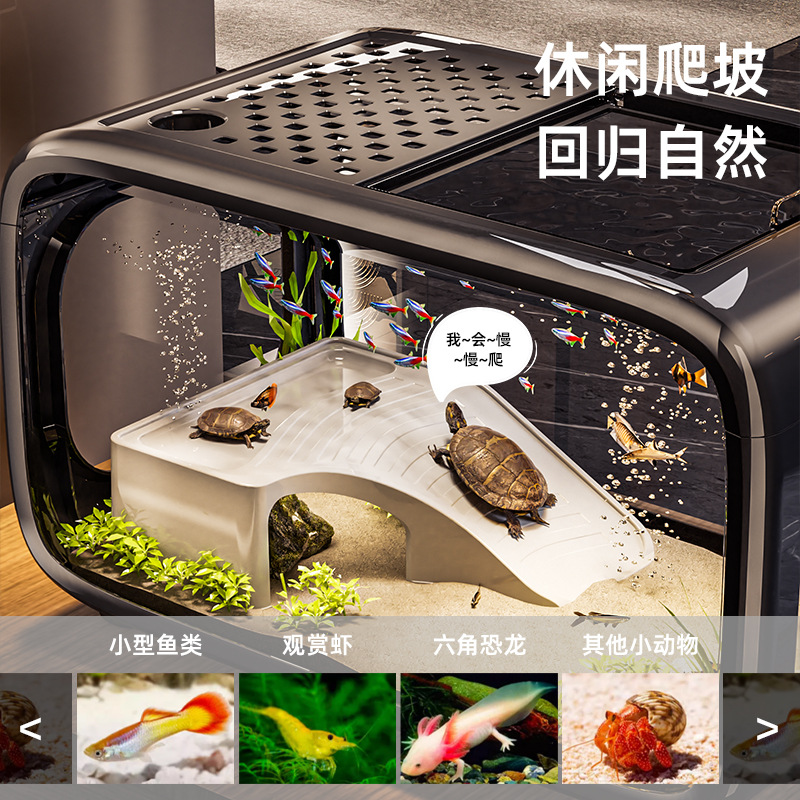 Fish Tank Accessories Aquarium - Planted Aquarium Bowl 评论和价格