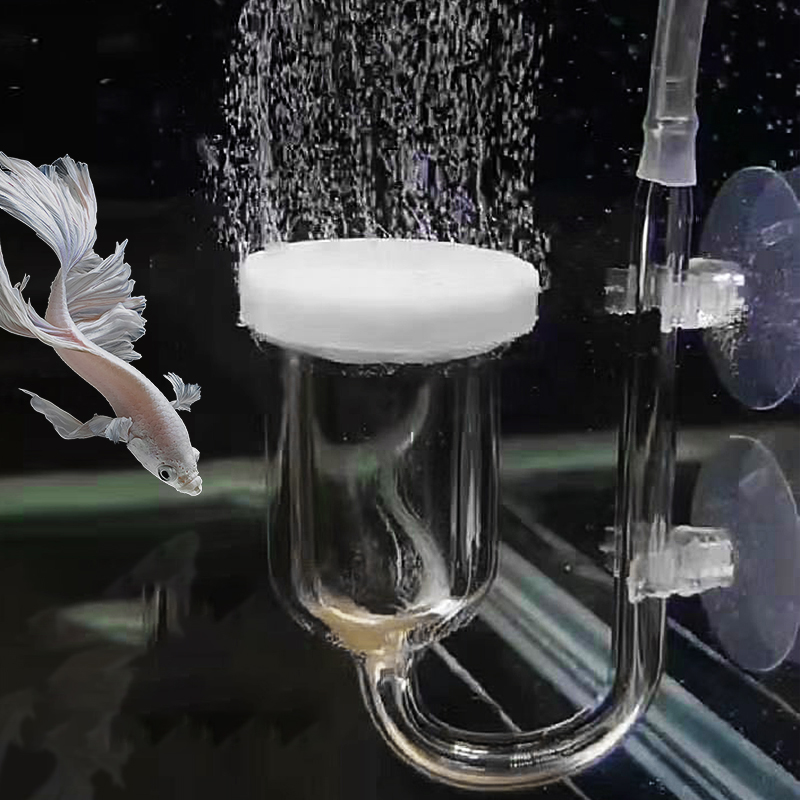 Glass Air Pump Sand Stone Aqua - Aquarium Lily Pipe 评论和价格