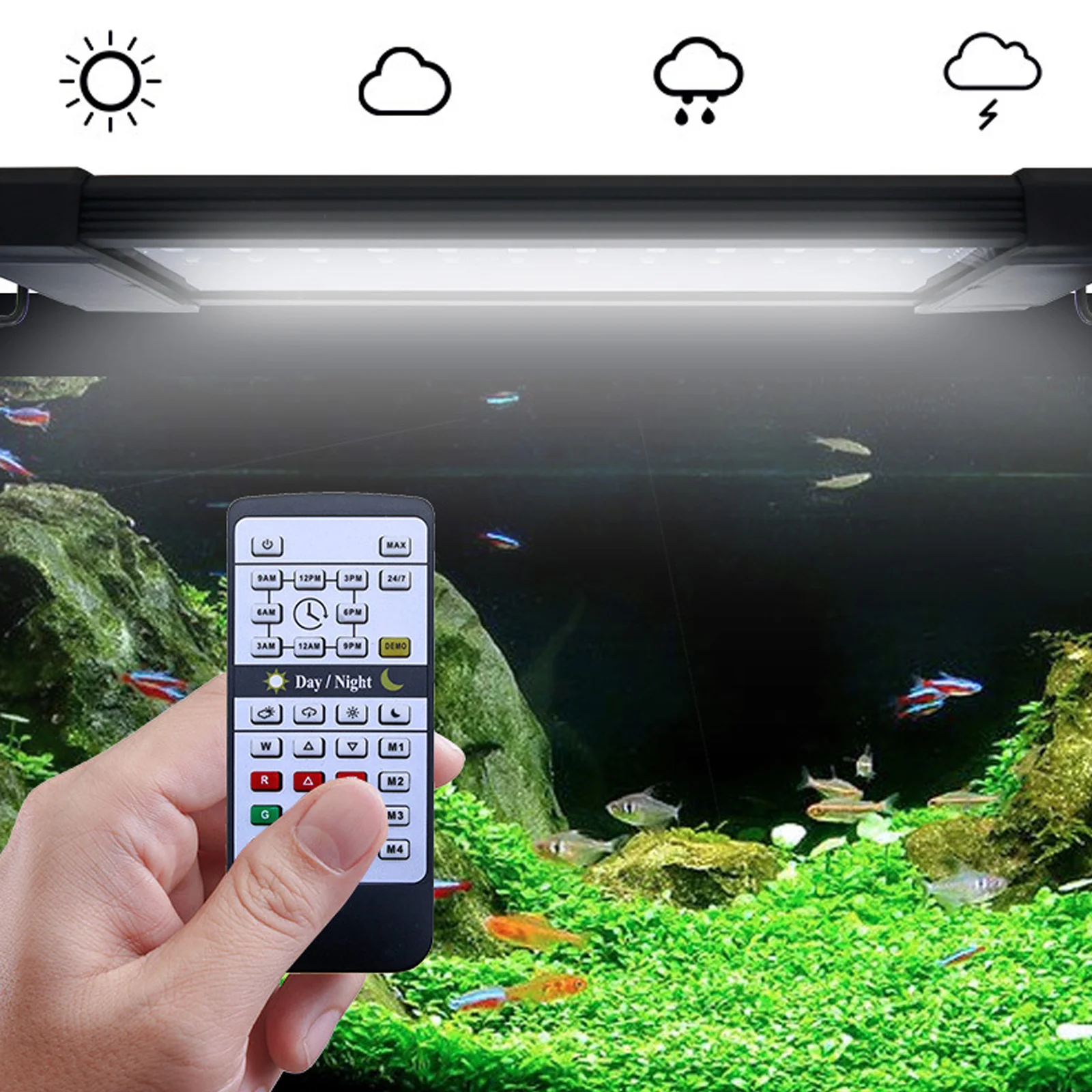Liweida 24 Hours Natural Light - Aquarium Plant Lab 评论和价格