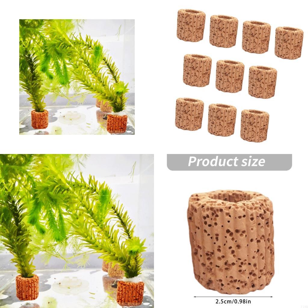 F19B Paottery Aquariums Plant  - Emersed Plants Aquarium 评论和价格