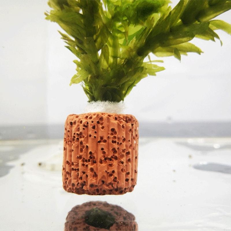 F19B Paottery Aquariums Plant  - Emersed Plants Aquarium 评论和价格