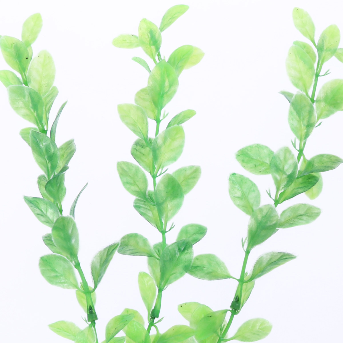 3Pcs Fish Tank Artificial Gree - Non Planted Aquarium Fish 评论和价格