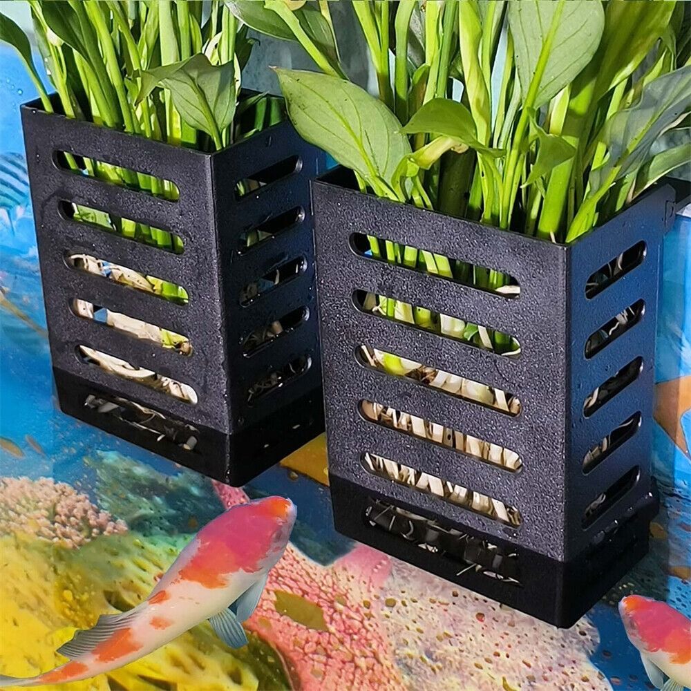 Water Plant Landscape Aquarium - Emersed Plants Aquarium 评论和价格